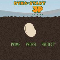 Dyna-Start 3P: The faster the start, the stronger the finish.