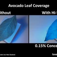 Hi-Wett: Avocado Leaf